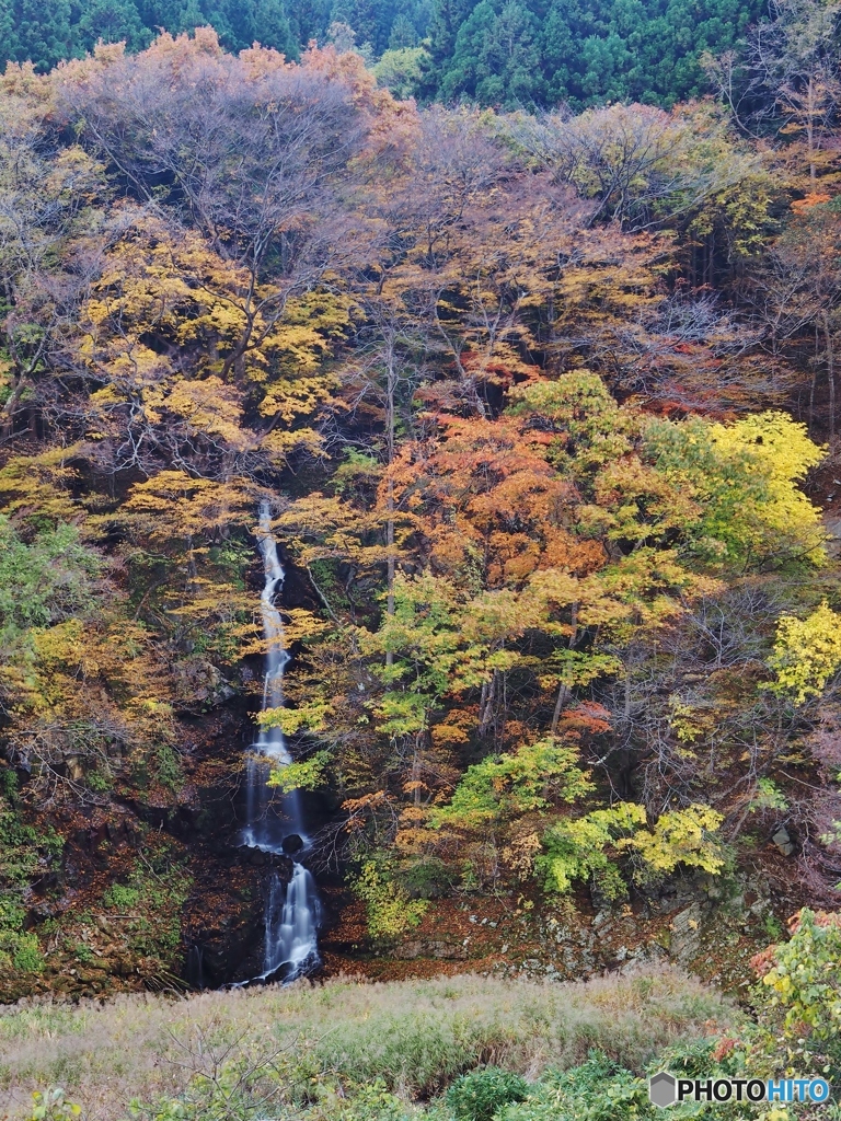 山の色づき