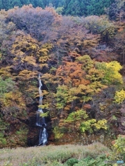山の色づき