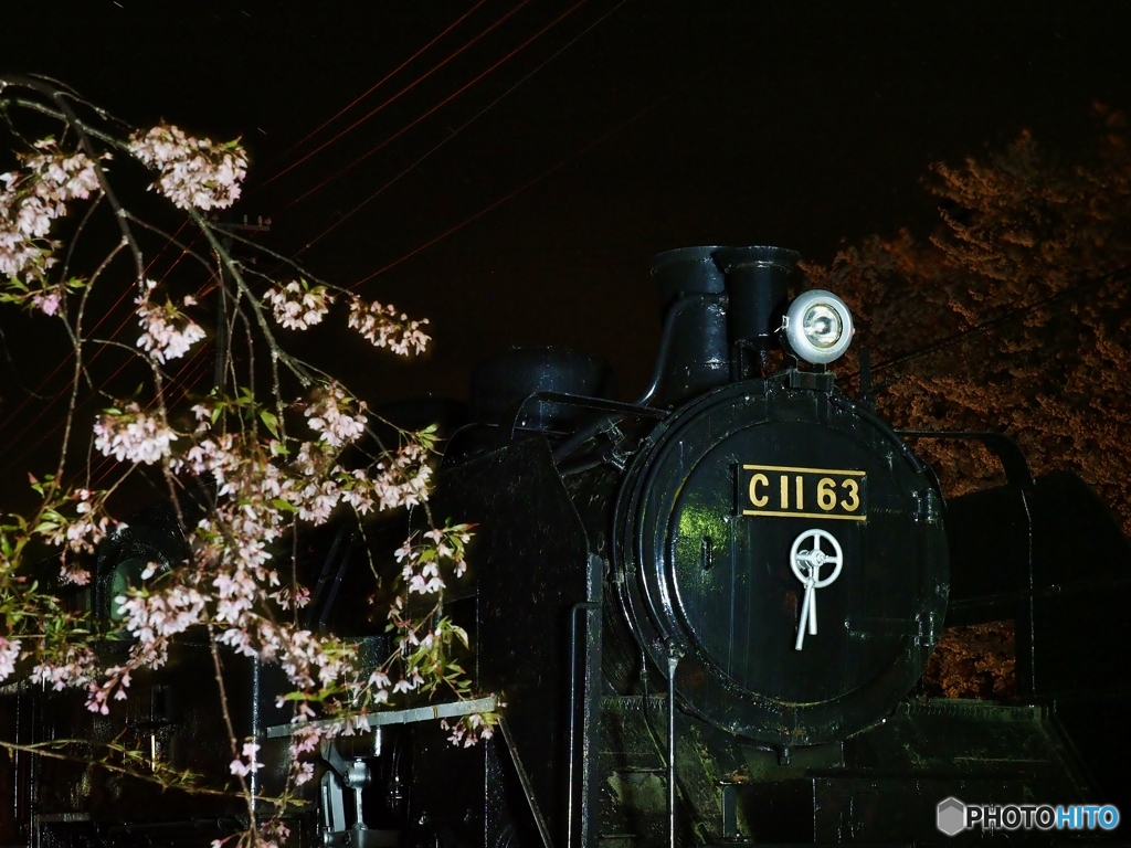 ＳＬと桜