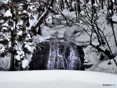 雪の中の滝