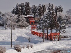 ⛩️ 赤鳥居