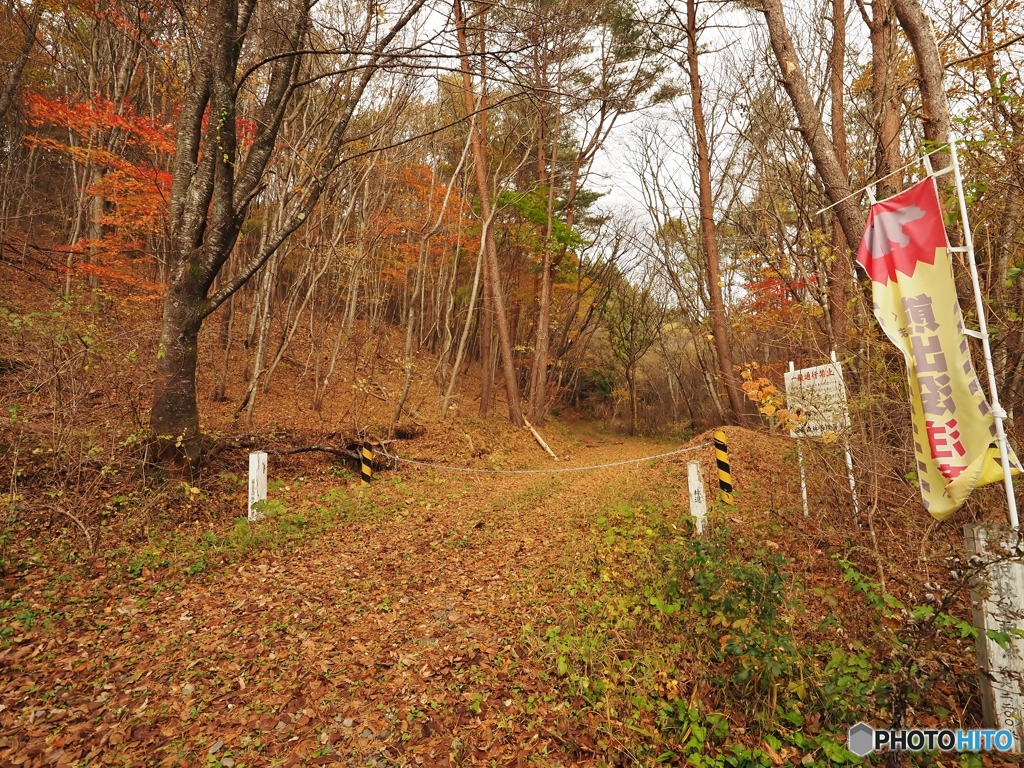 入れない林道