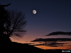 明日は皆既月食！