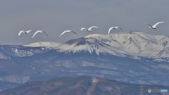 やっぱ、北はあっちだ！