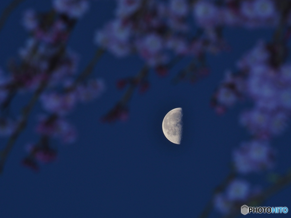夜明け前