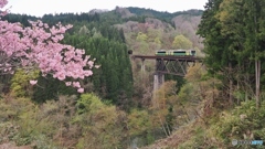 桜とディーゼルカー