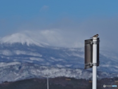 富士山（福島の）