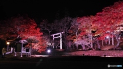 土津神社