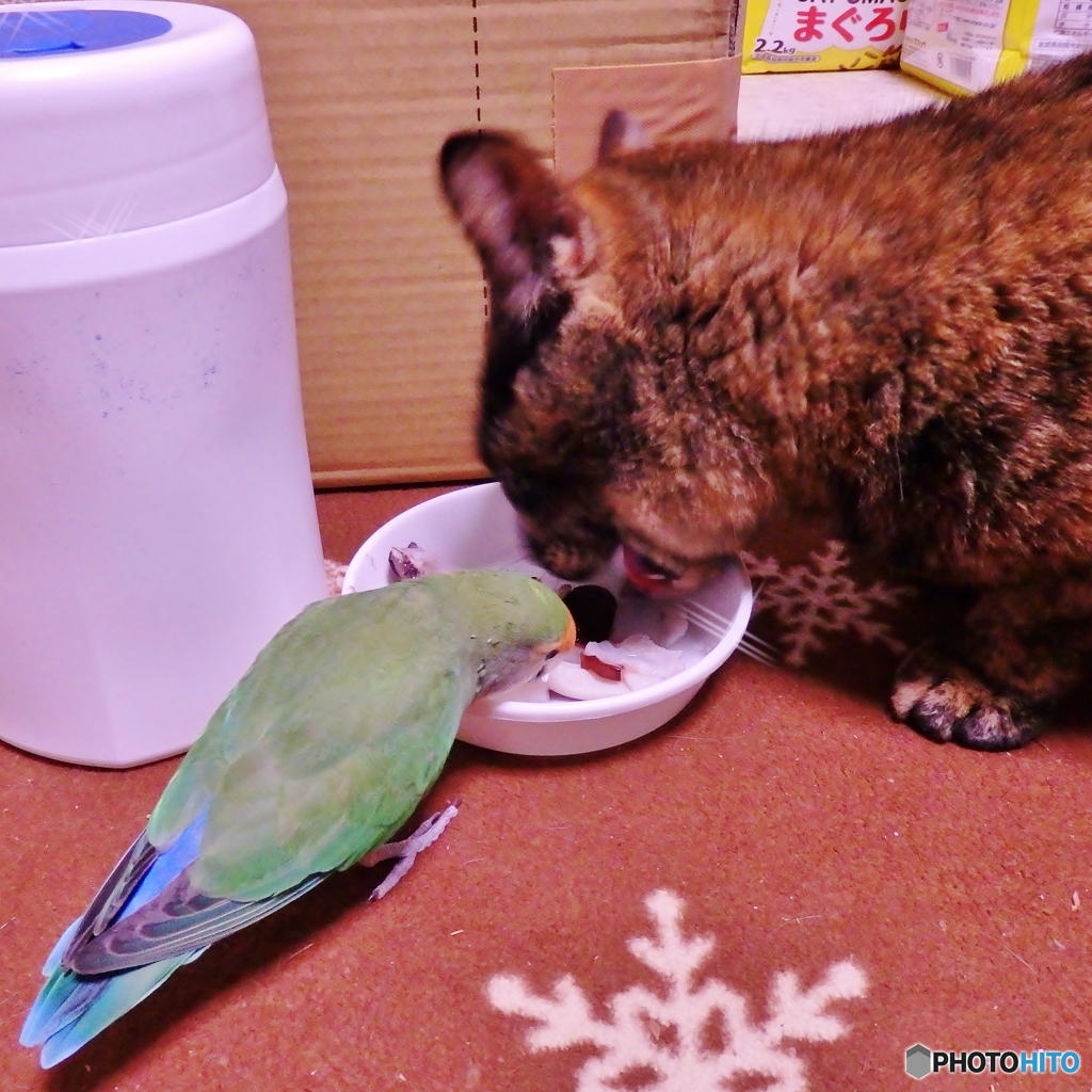 美味しいね！