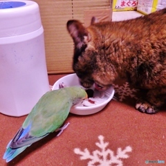美味しいね！