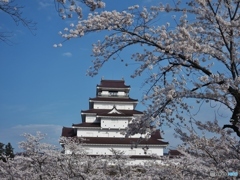 鶴ヶ城 満開