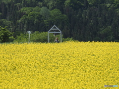 あの鐘を鳴らすのは・・・