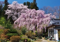 穏やかな春の日に・・・