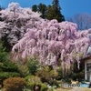 穏やかな春の日に・・・