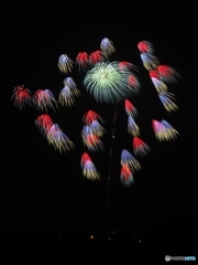 念願の花火撮影！