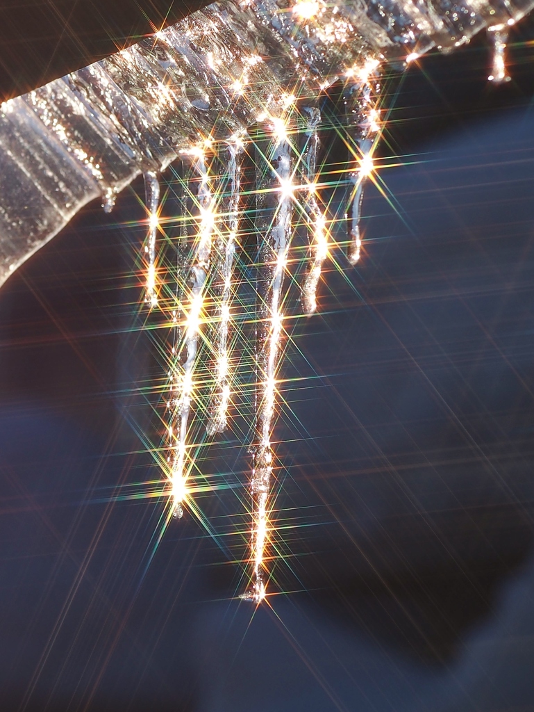 酷暑お見舞い申し上げます。