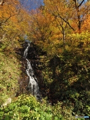 和滝