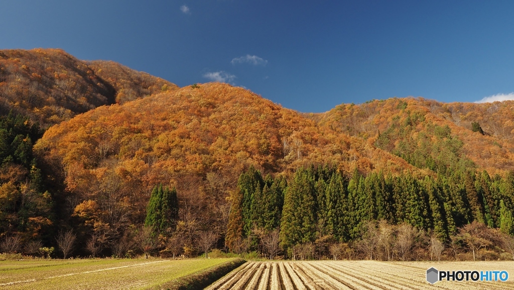 紅葉の山 同じ場所から