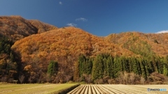 紅葉の山 同じ場所から