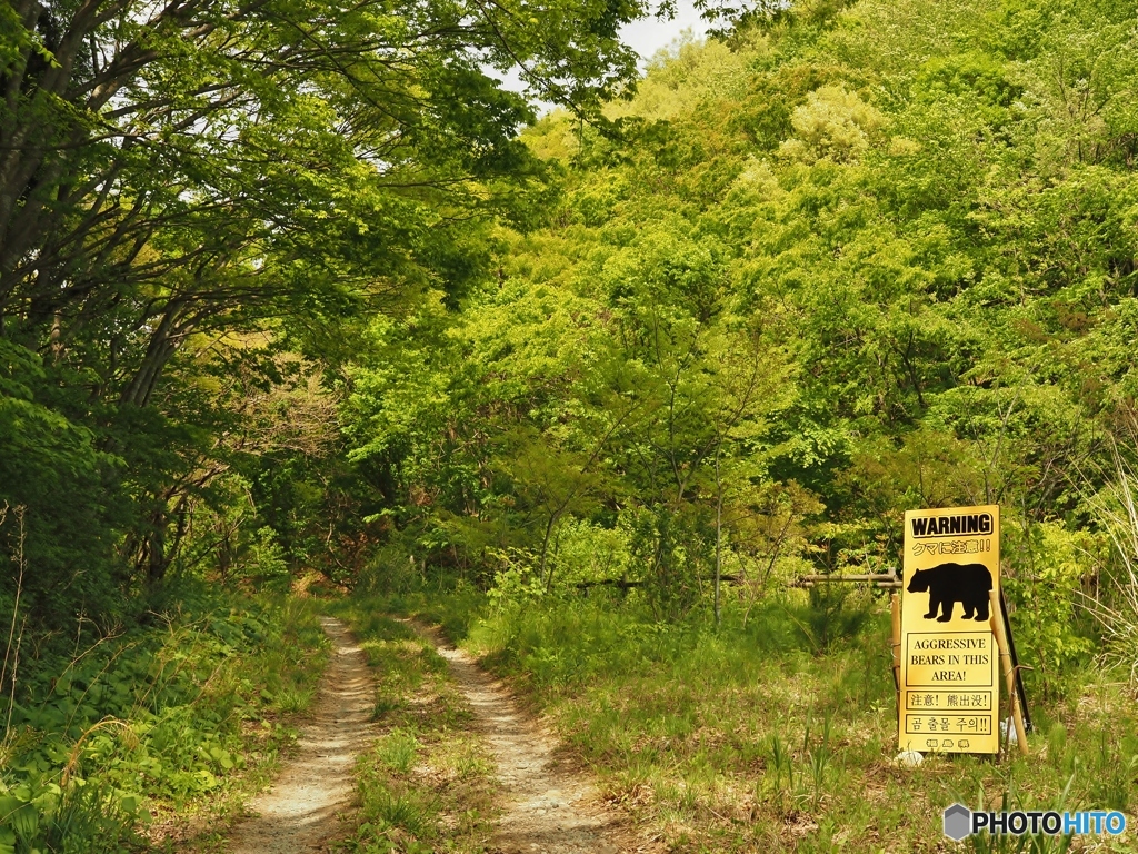 この先は、クマさんの家