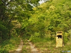 この先は、クマさんの家