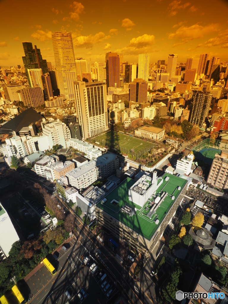 東京タワー
