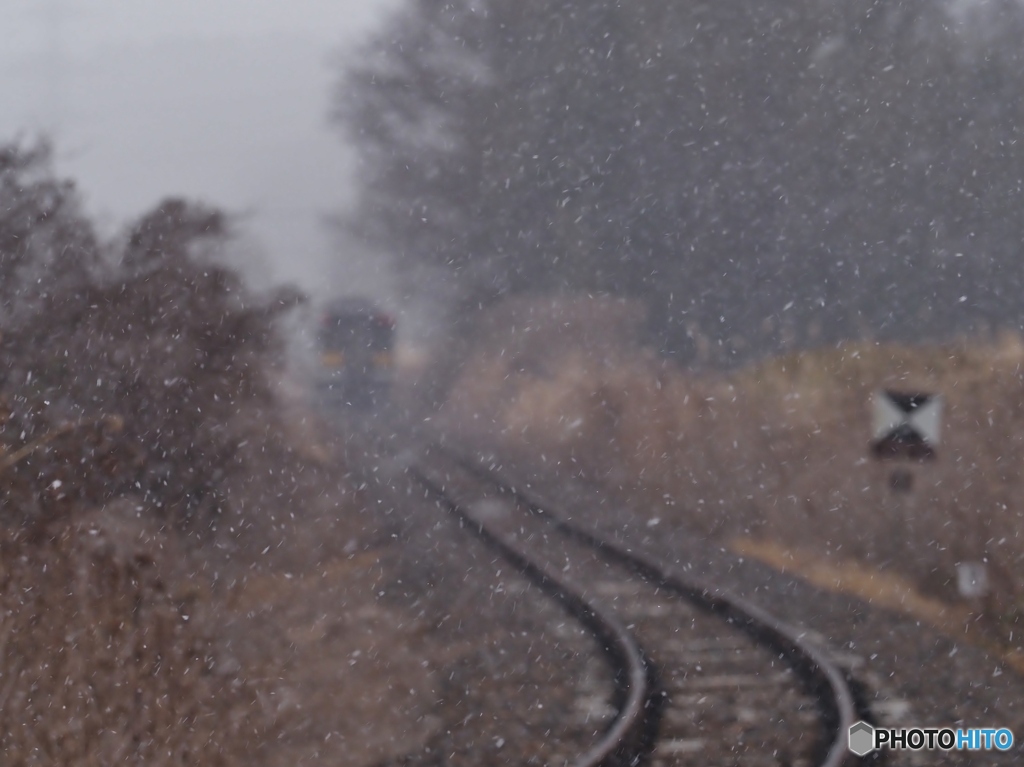 主役は、雪