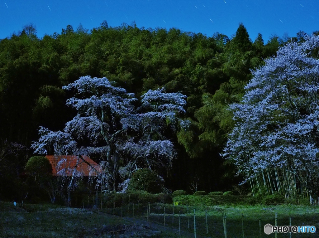 雪村庵
