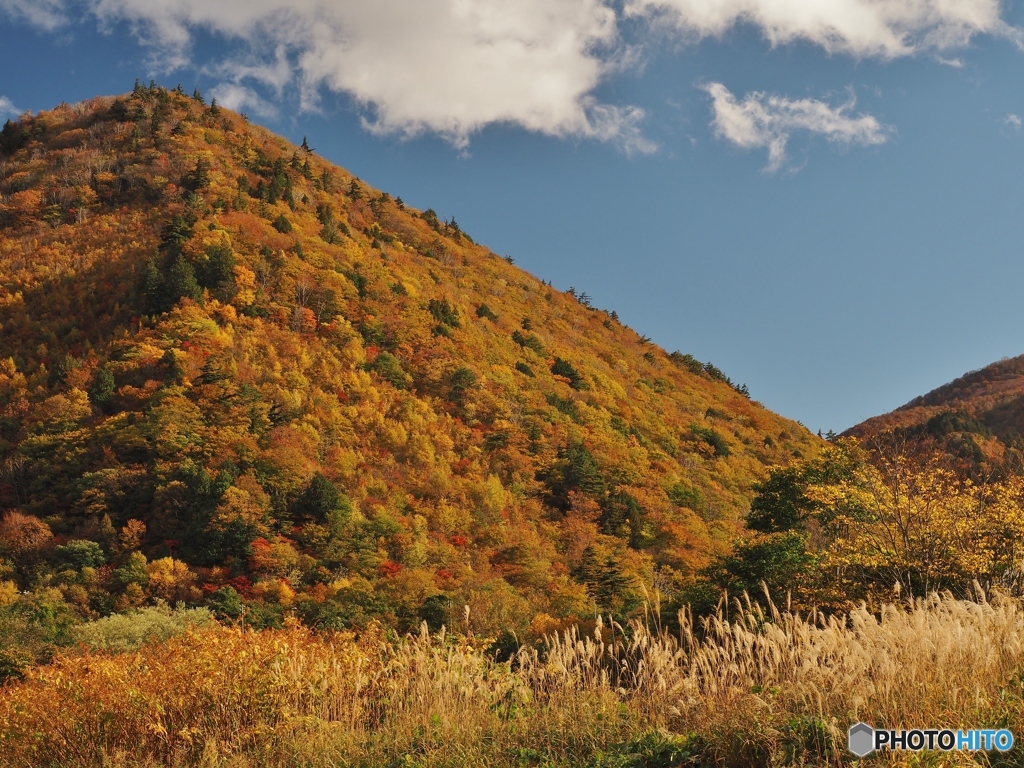 燃える山