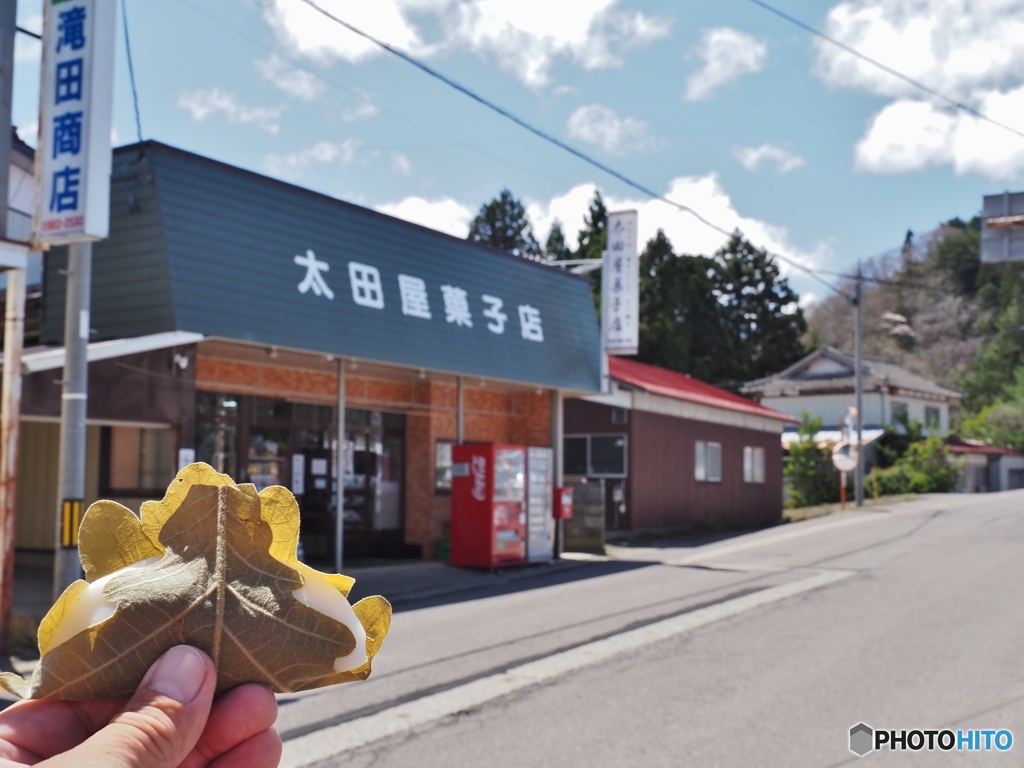 かしわもち