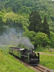 緑の中を、走り抜けてく！