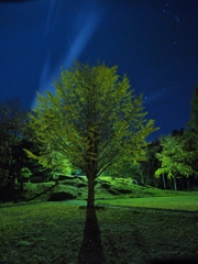 真夜中の公園