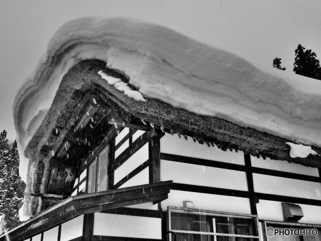 豪雪