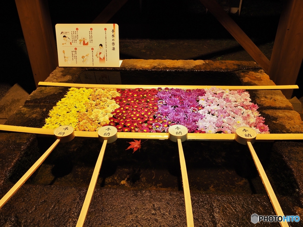 手水の花
