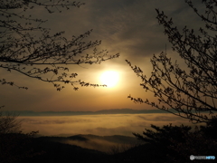 雲海