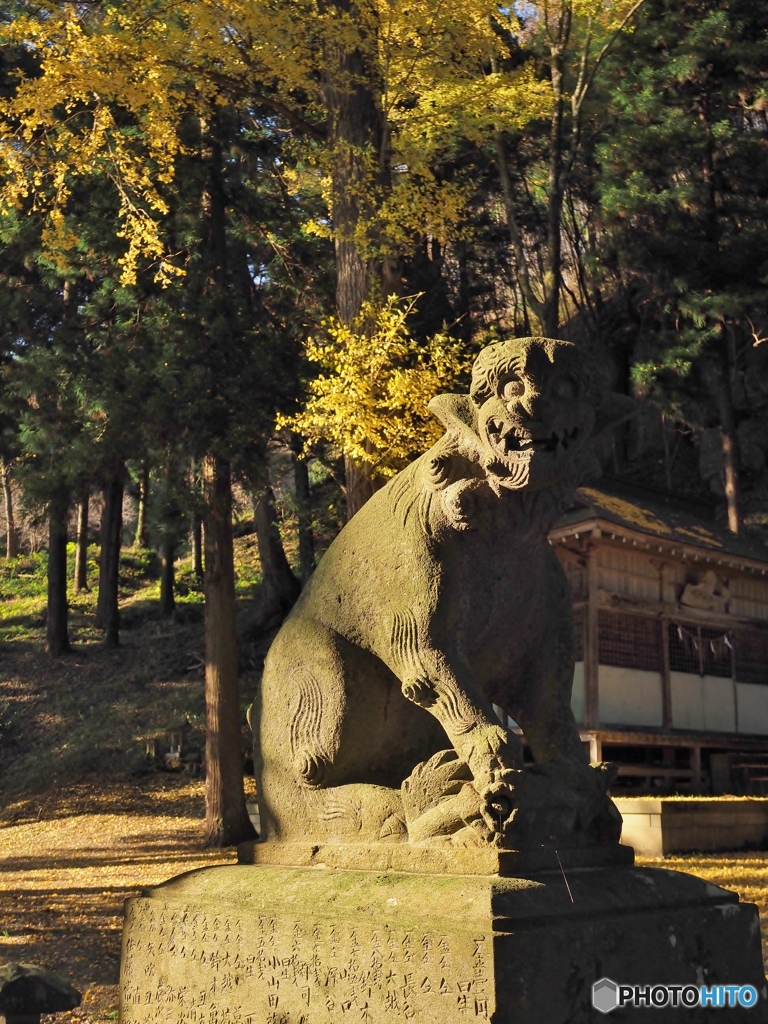 何しに来た！