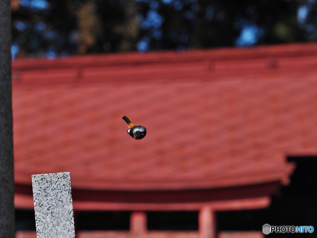 神様 降臨！