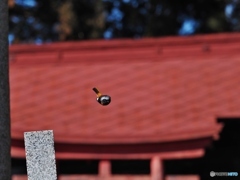 神様 降臨！
