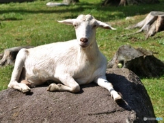 お気に入りの場所