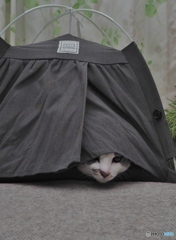 アウトドア志向