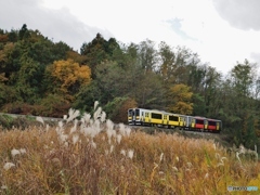 ハッピートレイン（水郡線）