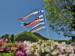 ５月の節句