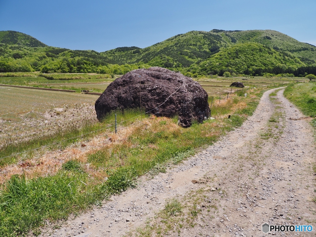 こんな場所に！