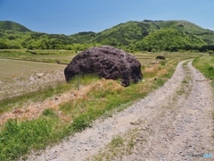 こんな場所に！