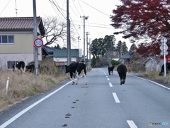 あれから14年 その２