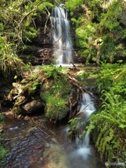 たまたま見つけた滝