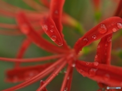 寄ってみました。