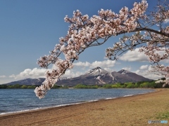 湖畔の春