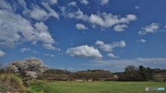 田舎の風景（さくら咲いてます）
