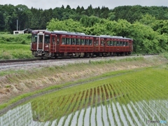 水郡線・臨時列車